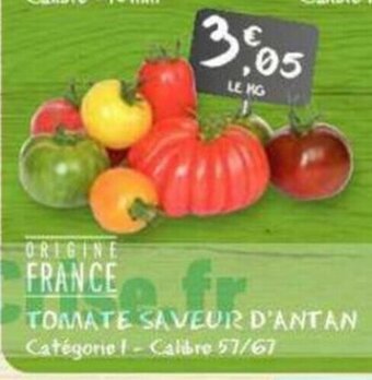 G20 TOMATE SAVEUR D'ANTAN offre