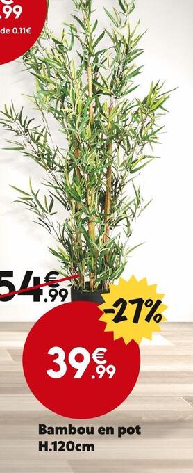 Maxi Bazar Bambou en pot h.120cm offre