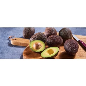 Avocat