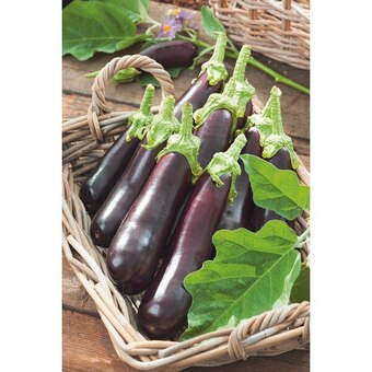 Carrefour Market Aubergine offre
