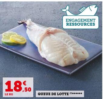 Queue de lotte