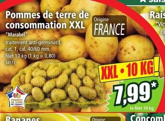 Norma Pommes de terre de consommation XXL offre