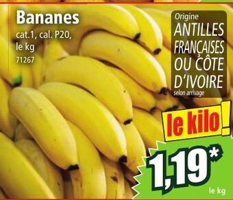 Norma Bananes offre