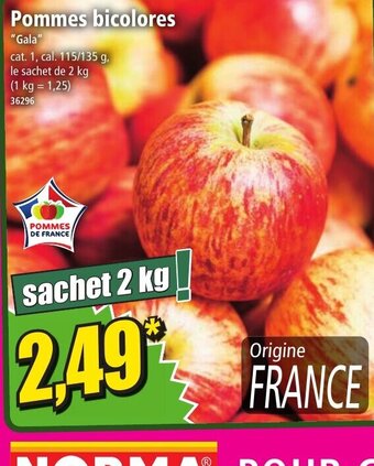 Norma Pommes bicolores offre