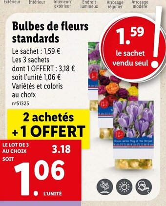 Lidl Bulbes de fleurs standards offre