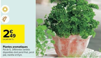 Carrefour Plantes aromatiques offre