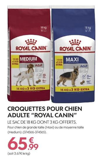 Truffaut Royal canin croquettes pour chien adulte offre