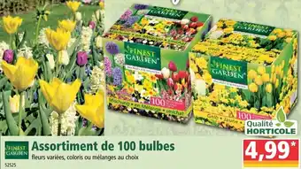 Norma Assortiment De 100 Bulbes offre