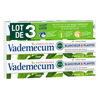 Vademecum dentifrice