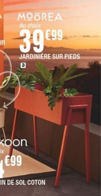 JARDINIÈRE SUR PIEDS