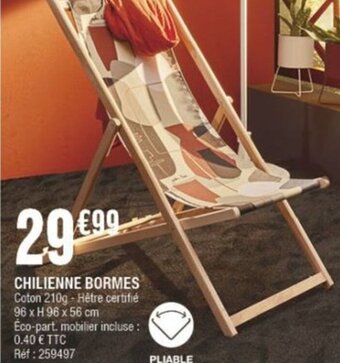 La Foir'Fouille CHILIENNE BORMES offre