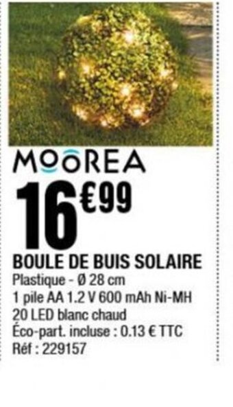 La Foir'Fouille BOULE DE BUIS SOLAIRE offre