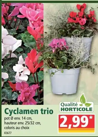 Norma Cyclamen Trio offre