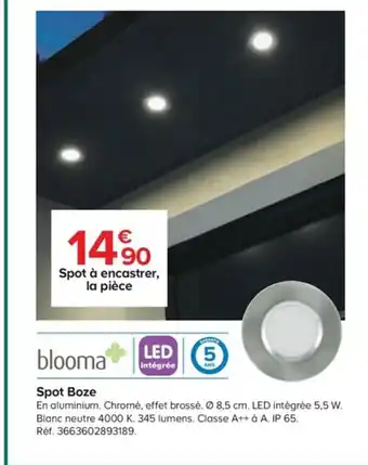 Castorama Spot Boze offre