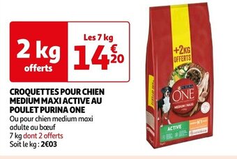 Auchan CROQUETTES POUR CHIEN MEDIUM MAXI ACTIVE AU POULET PURINA ONE offre