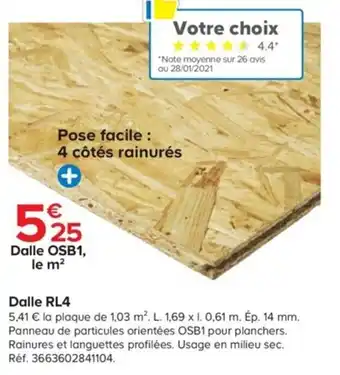 Castorama Dalle RL4 offre