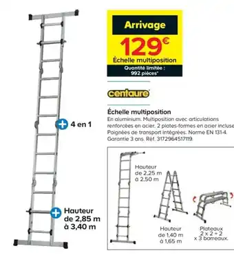 Échelle multiposition