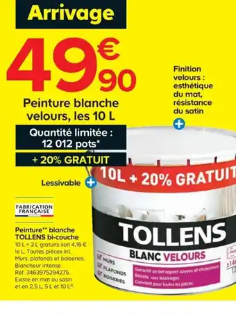 Castorama Peinture blanche velours offre