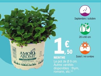 E.Leclerc MENTHE offre