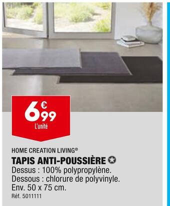 ALDI Home creation living tapis anti-poussière offre