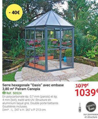 Palram canopia serre hexagonale ââoasisââ avec embase 3,80 m2