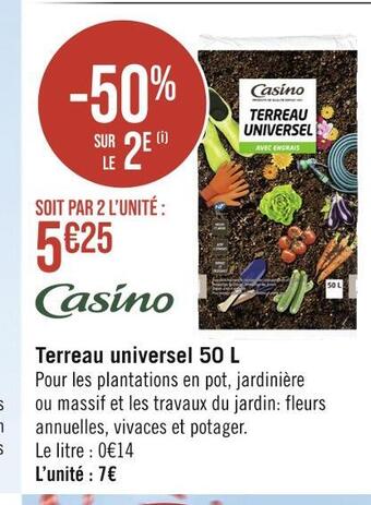 Casino Hyperfrais Casino terreau universel 50 l offre