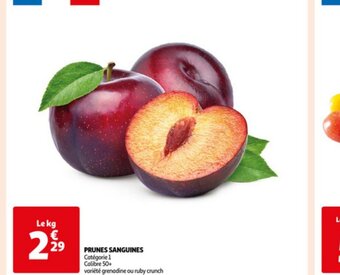 PRUNES SANGUINES