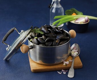 U Express Moule de bouchot u stg offre