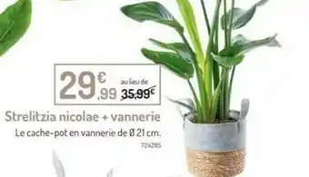 Botanic Strelitzia Nicolae + Vannerie offre