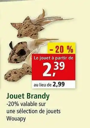 Maxi Zoo Jouet Brandy offre