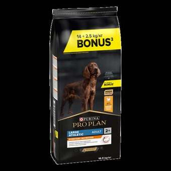 Truffaut Croquettes pour chien adulte “purina proplan” offre