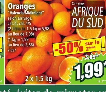 Norma Oranges offre