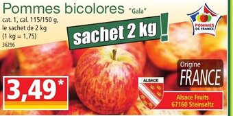 Norma Pommes bicolores offre
