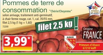 Norma Pommes de terre de consommation offre