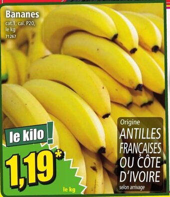 Norma Bananes offre