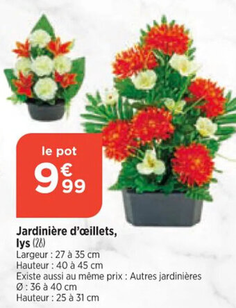 Jardinière d'œillets, lys (28)