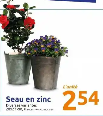 Action Seau en zinc offre