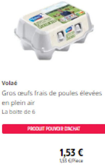 Volaé Gros oeufs frais de poules élevées