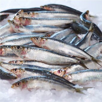 Carrefour Sardine offre
