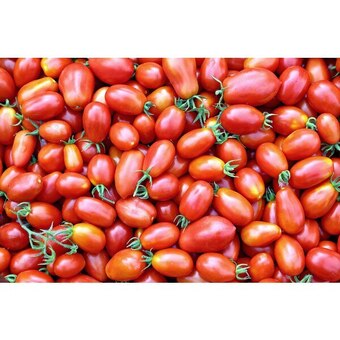 Carrefour Tomate allongée offre
