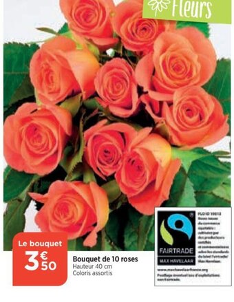 Bi1 Bouquet de 10 roses offre
