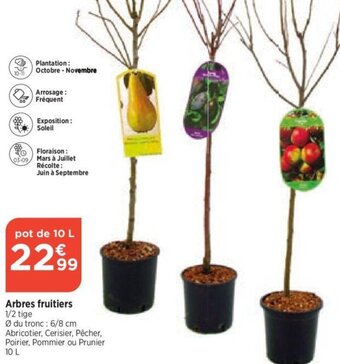 Arbres fruitiers