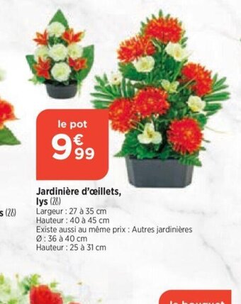 Bi1 Jardinière d'œillets, offre