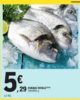 E.Leclerc Dorade royale offre