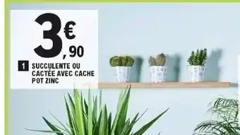E.Leclerc Succulente ou cactée avec cache pot zinc offre