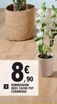 E.Leclerc Dendrobium Avec Cache Pot Céramique offre