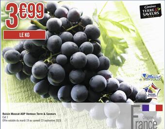 Casino terre & saveur raisin muscat aop ventoux terre & saveurs