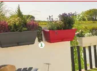 Auchan Balconniere 50 Cm Avec Support offre