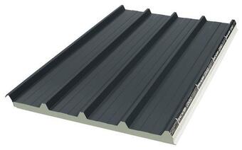 Brico Dépôt Panneau sandwich gris anthracite 3,1 x 1 m ep. 40 mm offre