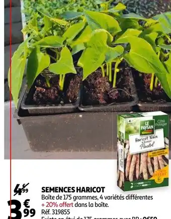 Auchan Semences Haricot offre